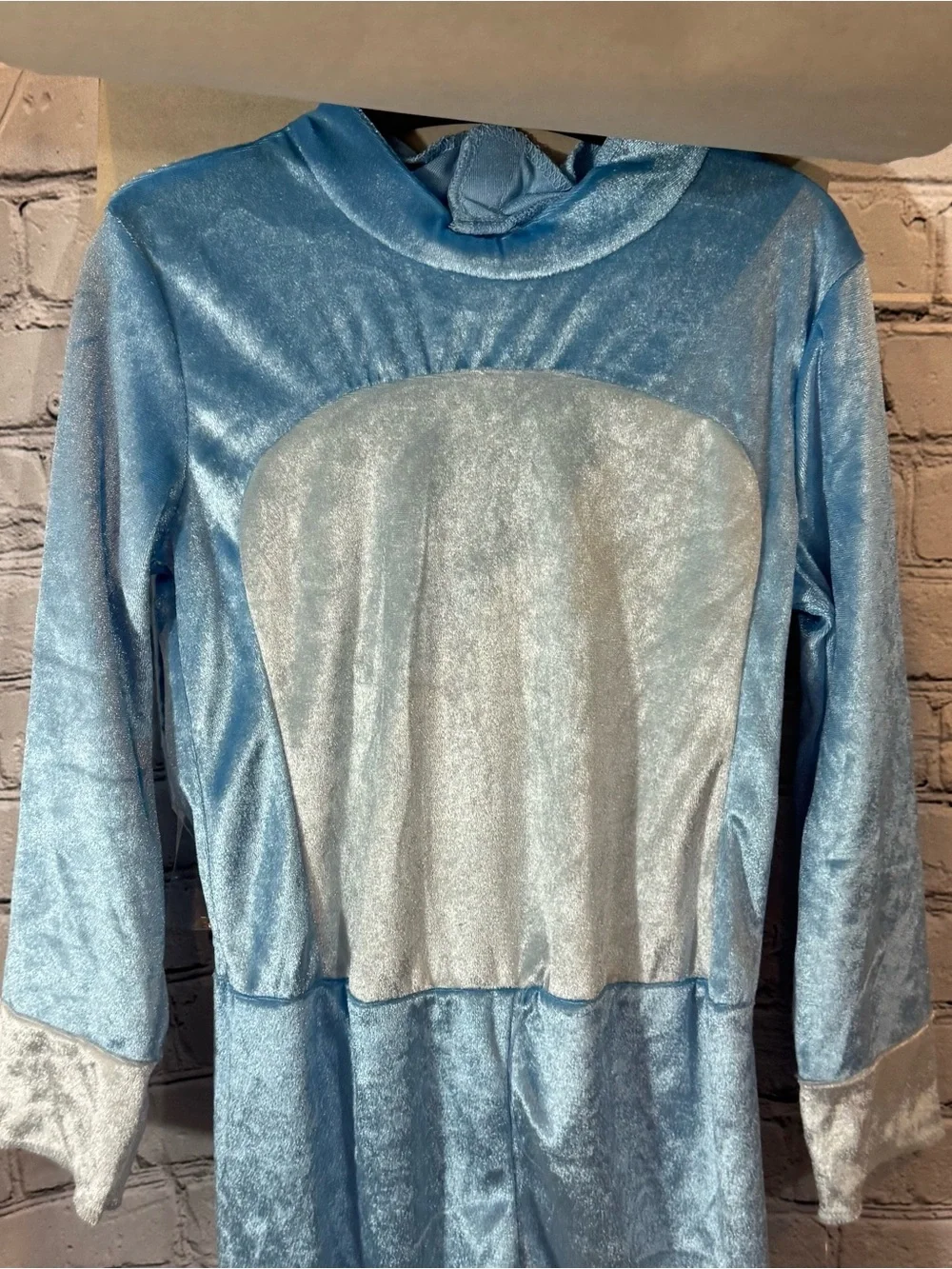 Bluey Toddler Halloween Costume